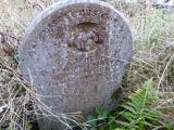 image number P1050244
